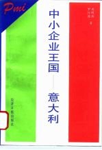 中小企业王国-意大利