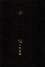 亚洲民族考古丛刊第5辑 青海