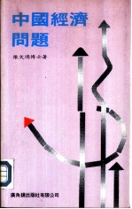 中国经济问题