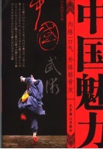 中国武术 内练一口气 外练筋骨皮