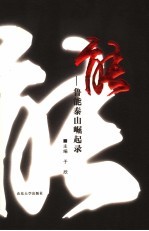 能 鲁能泰山崛起录
