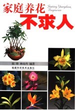 家庭养花不求人