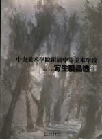 中央美术学院附属中等美术学院写生精品选