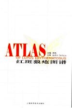 红斑狼疮图谱 中英文本
