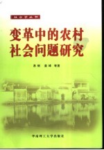 变革中的农村社会问题研究