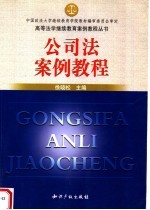 公司法案例教程