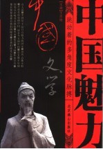 中国文学 跳动着的多角度文化脉搏