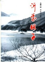 沂蒙母子 上