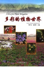 多彩的植物世界