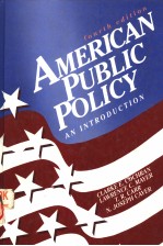 AMERICAN PUBLIC POLICY AN INTRODUCTION FOURTH EDITION