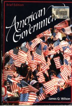 AMERICAN GOVERNMENT BRIEF EDITION