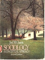 SOCIOLOGY A CONCEPTUAL APPROACH SECOND EDITION
