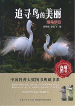 追寻鸟的美丽 观鸟手记