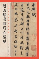 中国历代名碑名帖精选 赵孟頫书前后赤壁赋