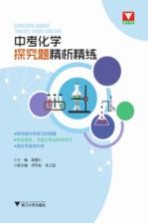 探究题精析精练 中考化学
