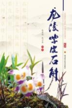 龙陵紫皮石斛