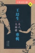 中华武术大观 王培生专辑 吴式太极枪