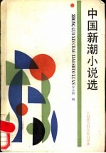 中国新潮小说选