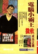 电脑小霸王 微软成功之路