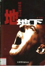 地地下 新音乐潜行记