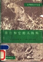 猎豹和它的人妈妈