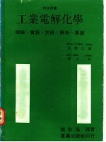 工业电解化学:理论、实务、技术、解析、展望