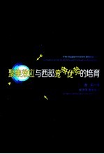 聚集效应与西部竞争优势的培育
