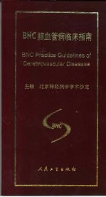 BNC脑血管病临床指南
