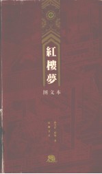 红楼梦 中 图文本