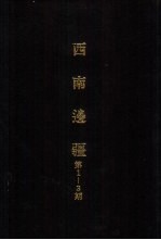 亚洲民族考古丛刊 第四辑 西南边疆 第2期