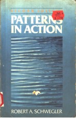 PATTERNS IN ACTION SECOND EDITION