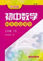 初中数学同步分层导学 七年级 下 供广西 沪科版