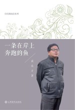 一条在岸上奔跑的鱼