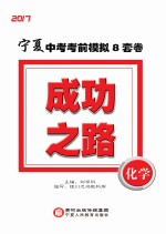 成功之路 宁夏中考考前模拟8套卷 化学