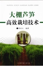 大棚芦笋高效栽培技术