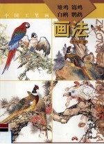 中国工笔画：雉鸡、锦鸡、白鹇、鹦鹉画法