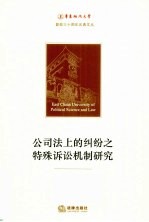 公司法上的纠纷之特殊诉讼机制研究
