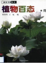 植物百态 荷