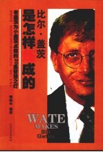 比尔·盖茨是怎样炼成的