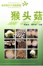 食用菌生产流程图谱 猴头菇