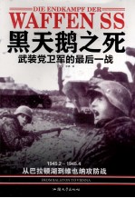 黑天鹅之死 武装党卫军的最后一战