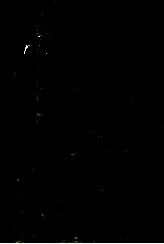 译文名著精选 夜色温柔