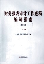 财务报表审计工作底稿编制指南 上 第2版