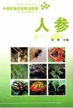 中草药病虫害防治图谱 人参