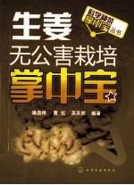 生姜无公害栽培掌中宝