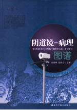 阴道镜 病理图谱