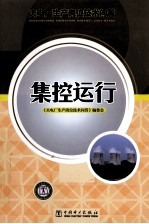 集控运行