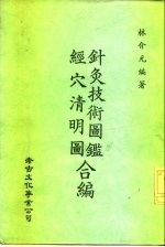 针灸技术图鉴 经穴清明图合编