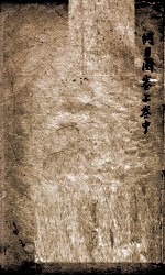 本草纲目(图) 上、中