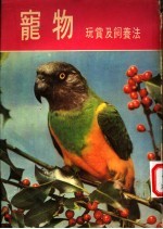 宠物玩赏及饲养法